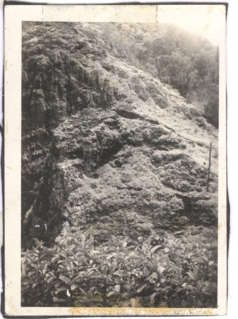 cogg ha brown auringer family.0218a.jpg