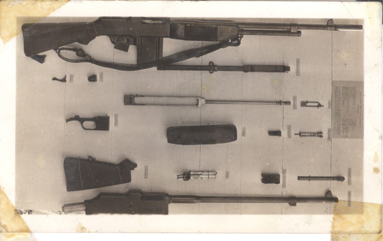 cogg ha brown auringer family.0225a.jpg
